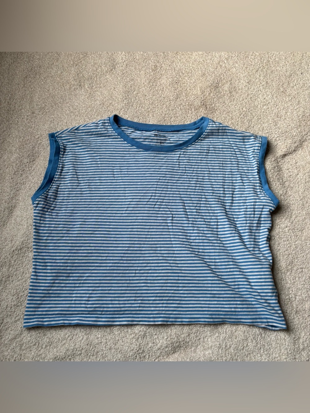 Madewell Blue and White Striped Men's Tank